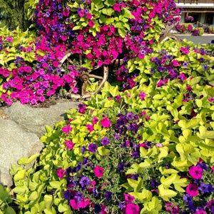 Meet your Posher, Christy